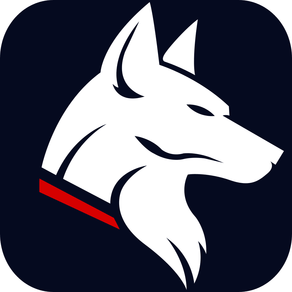 WireDog VPN